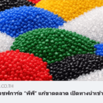รัฐชะลอเซฟการ์ด “พีพี” แก้ขาดตลาด เปิดทางนำเข้า สกัดราคาพุ่ง